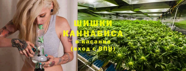 винт Арсеньев