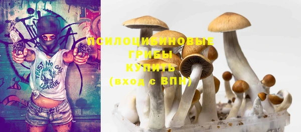 ALPHA PVP Армянск