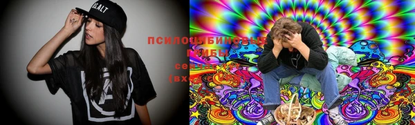 мет Аркадак