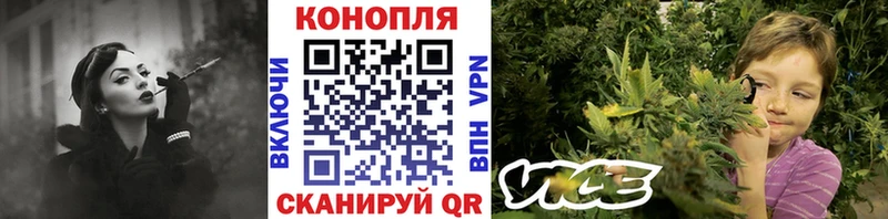 закладка  Приозерск  Марихуана планчик 